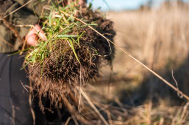İnsan Ellerinin Yakın Çekimi Karanlık ve Organik Toprağı Koruyor ve Yetiştiriyor. Çevre Koruma, Bahçecilik, Ekin Yetiştirme ve Yaşam Vakfı 'nı Temsil Etme