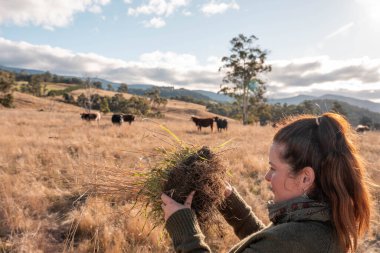 toprak bilimci çiftçi baharda bir tarlada toprak örneklerine ve çimenlere bakıyor. bitkilerin ve toprak sağlığının büyümesine bakmak