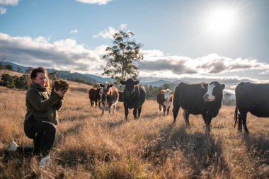 Tarlada toprak ve bitki örneği inceleyen bir kız. Avusturalya 'da mantar arayan bir bilim adamı.