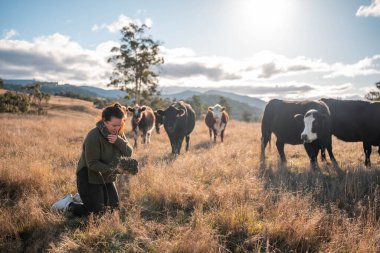 Yenileyici organik çiftçi, toprak örnekleri alıyor ve bir çiftlikteki bitkilere bakıyor. sürdürülebilir tarım uygulaması