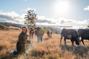 Avustralya 'da yenilenebilir sürdürülebilir bir çiftlikte sığırlarla birlikte çalışan kadın çiftçi Modern Kadın Çiftçi, Avustralya' da Sığırlarla Sürdürülebilir ve Yenilenebilir Uygulamalar Uygulıyor