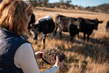 toprak bilimci çiftçi baharda bir tarlada toprak örneklerine ve çimenlere bakıyor. bitkilerin ve toprak sağlığının büyümesine bakmak