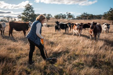 toprak bilimci çiftçi baharda bir tarlada toprak örneklerine ve çimenlere bakıyor. bitkilerin ve toprak sağlığının büyümesine bakmak