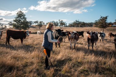Tarlada toprak ve bitki örneği inceleyen bir kız. Avusturalya 'da mantar arayan bir bilim adamı.