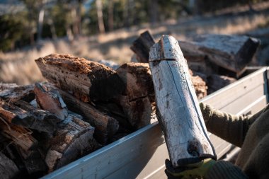 Kadın ünlü Odun Yükleme Kış için Sürdürülebilir Ev Isıtması ile hazır hale geliyor. Çalışkan eller odun istiflemek için odun topluyor.