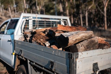 Kadın ünlü Odun Yükleme Kış için Sürdürülebilir Ev Isıtması ile hazır hale geliyor. Çalışkan eller odun istiflemek için odun topluyor.