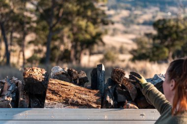 Kadın ünlü Odun Yükleme Kış için Sürdürülebilir Ev Isıtması ile hazır hale geliyor. Çalışkan eller odun istiflemek için odun topluyor.