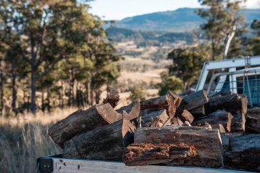 Kadın ünlü Odun Yükleme Kış için Sürdürülebilir Ev Isıtması ile hazır hale geliyor. Çalışkan eller odun istiflemek için odun topluyor.