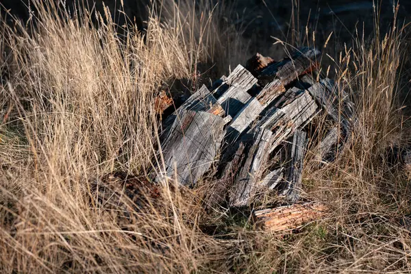 Kadın ünlü Odun Yükleme Kış için Sürdürülebilir Ev Isıtması ile hazır hale geliyor. Çalışkan eller odun istiflemek için odun topluyor.