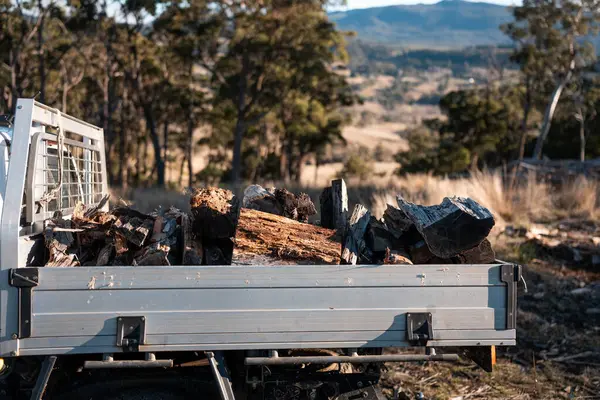 Kadın ünlü Odun Yükleme Kış için Sürdürülebilir Ev Isıtması ile hazır hale geliyor. Çalışkan eller odun istiflemek için odun topluyor.
