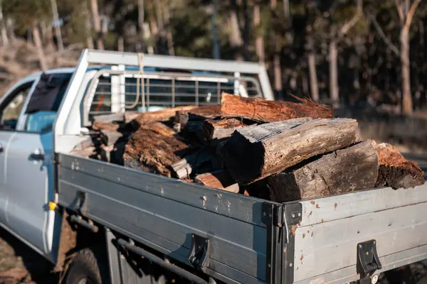 Kadın ünlü Odun Yükleme Kış için Sürdürülebilir Ev Isıtması ile hazır hale geliyor. Çalışkan eller odun istiflemek için odun topluyor.