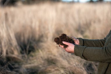 Tarlada toprak ve bitki örneği inceleyen bir kız. Avusturalya 'da mantar arayan bir bilim adamı.
