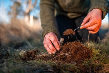 toprak bilimci çiftçi baharda bir tarlada toprak örneklerine ve çimenlere bakıyor. bitkilerin ve toprak sağlığının büyümesine bakmak