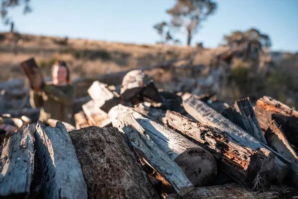 Kadın ünlü Odun Yükleme Kış için Sürdürülebilir Ev Isıtması ile hazır hale geliyor. Çalışkan eller odun istiflemek için odun topluyor.