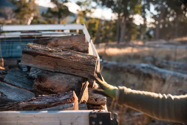 Kadın ünlü Odun Yükleme Kış için Sürdürülebilir Ev Isıtması ile hazır hale geliyor. Çalışkan eller odun istiflemek için odun topluyor.