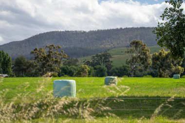 Sürdürülebilir tarım bir çiftlikte saman ve tohum ruloları ve balyaları balyalamak