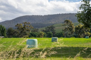 Sürdürülebilir tarım bir çiftlikte saman ve tohum ruloları ve balyaları balyalamak