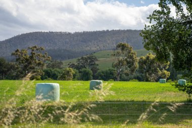 Sürdürülebilir tarım bir çiftlikte saman ve tohum ruloları ve balyaları balyalamak