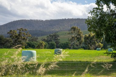 Sürdürülebilir tarım bir çiftlikte saman ve tohum ruloları ve balyaları balyalamak