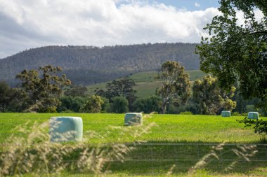 Sürdürülebilir tarım bir çiftlikte saman ve tohum ruloları ve balyaları balyalamak
