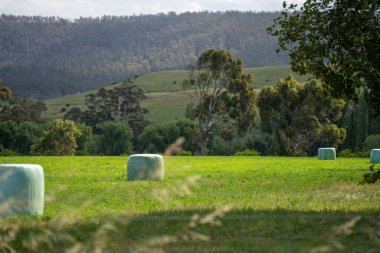 Sürdürülebilir tarım bir çiftlikte saman ve tohum ruloları ve balyaları balyalamak
