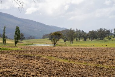 Tils Field ve Uzak Gölet 'li Avustralya Çiftliği manzarası. Tarımsal Arazi Hazırlığı, Kırsal Kalkınma, Sürdürülebilir Arazi Yönetimi Uygulamaları