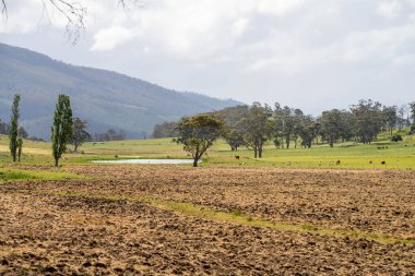 Tils Field ve Uzak Gölet 'li Avustralya Çiftliği manzarası. Tarımsal Arazi Hazırlığı, Kırsal Kalkınma, Sürdürülebilir Arazi Yönetimi Uygulamaları