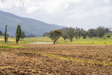 Tils Field ve Uzak Gölet 'li Avustralya Çiftliği manzarası. Tarımsal Arazi Hazırlığı, Kırsal Kalkınma, Sürdürülebilir Arazi Yönetimi Uygulamaları
