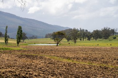 Tils Field ve Uzak Gölet 'li Avustralya Çiftliği manzarası. Tarımsal Arazi Hazırlığı, Kırsal Kalkınma, Sürdürülebilir Arazi Yönetimi Uygulamaları