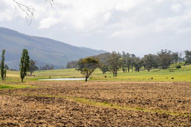 Tils Field ve Uzak Gölet 'li Avustralya Çiftliği manzarası. Tarımsal Arazi Hazırlığı, Kırsal Kalkınma, Sürdürülebilir Arazi Yönetimi Uygulamaları