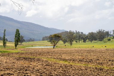 Tils Field ve Uzak Gölet 'li Avustralya Çiftliği manzarası. Tarımsal Arazi Hazırlığı, Kırsal Kalkınma, Sürdürülebilir Arazi Yönetimi Uygulamaları
