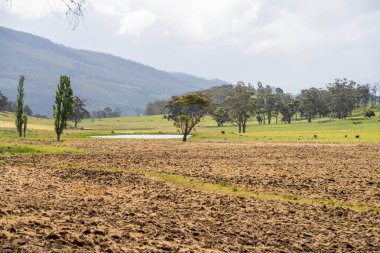 Tils Field ve Uzak Gölet 'li Avustralya Çiftliği manzarası. Tarımsal Arazi Hazırlığı, Kırsal Kalkınma, Sürdürülebilir Arazi Yönetimi Uygulamaları