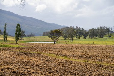 Tils Field ve Uzak Gölet 'li Avustralya Çiftliği manzarası. Tarımsal Arazi Hazırlığı, Kırsal Kalkınma, Sürdürülebilir Arazi Yönetimi Uygulamaları