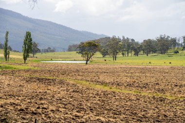 Tils Field ve Uzak Gölet 'li Avustralya Çiftliği manzarası. Tarımsal Arazi Hazırlığı, Kırsal Kalkınma, Sürdürülebilir Arazi Yönetimi Uygulamaları