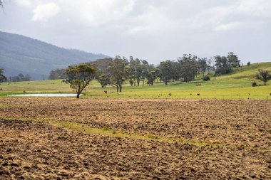 Tils Field ve Uzak Gölet 'li Avustralya Çiftliği manzarası. Tarımsal Arazi Hazırlığı, Kırsal Kalkınma, Sürdürülebilir Arazi Yönetimi Uygulamaları