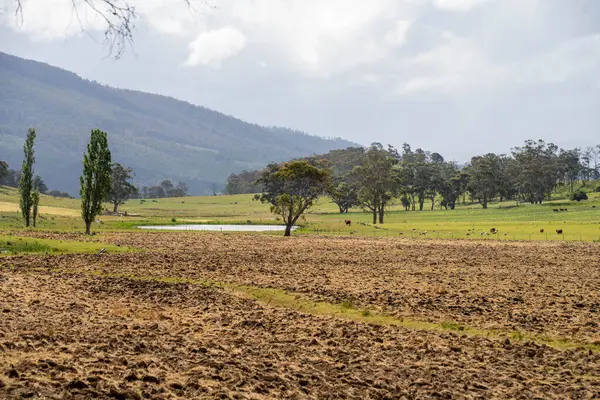 Tils Field ve Uzak Gölet 'li Avustralya Çiftliği manzarası. Tarımsal Arazi Hazırlığı, Kırsal Kalkınma, Sürdürülebilir Arazi Yönetimi Uygulamaları