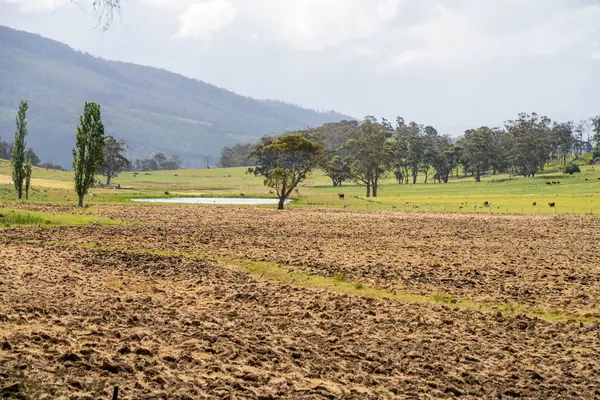 Tils Field ve Uzak Gölet 'li Avustralya Çiftliği manzarası. Tarımsal Arazi Hazırlığı, Kırsal Kalkınma, Sürdürülebilir Arazi Yönetimi Uygulamaları