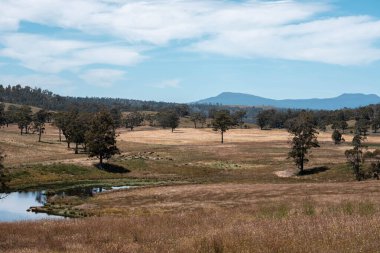 Avustralya sulama çiftliği barajı. Çiftlik hayvanları için Su Kaynağı Yazın Resimli Kırsal Arazide Çimento ve Sürdürülebilir Tarım