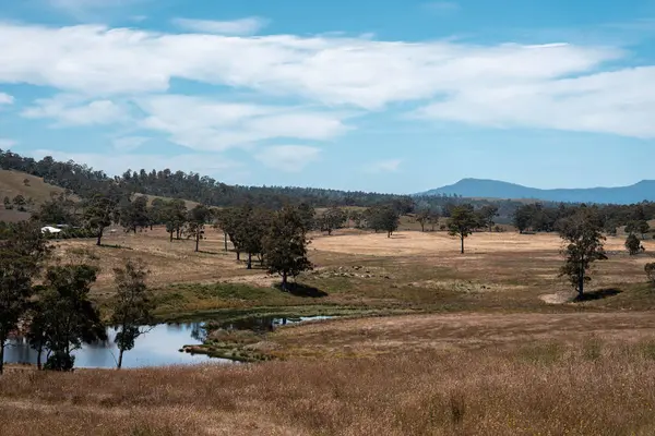 Avustralya sulama çiftliği barajı. Çiftlik hayvanları için Su Kaynağı Yazın Resimli Kırsal Arazide Çimento ve Sürdürülebilir Tarım