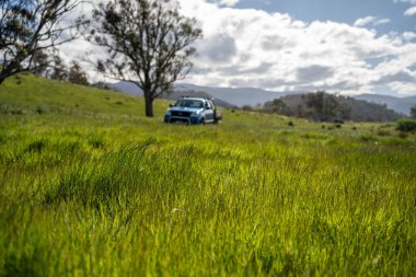 Green Pasture çiftliği sürdürülebilir tarım yapıyor Avustralya 'da yenilenebilir çiftliğin geleceği. Sağlıklı Toprak Yönetimi, Çevre Yönetimi ve Kırsal Peyzaj Gösterimi