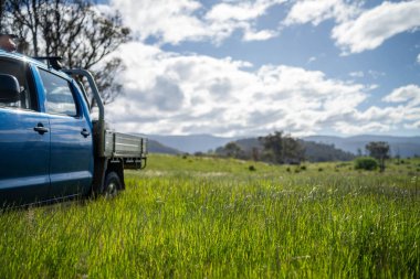 Bir çiftlikteki çim tarlasında bir kamyon. Taşrada, Avustralya 'nın taşrasında toprak bir yolda giderken bir çiftlikteki bir kamyonda.