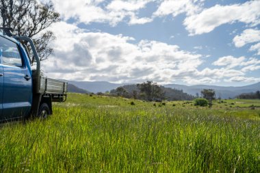 Yenilenebilir tarım çiftliğinde yemyeşil, uzun otlaklar. Lush Green Australian Farm Pasture 'a park edilmiş bir kamu aracı. Kırsal Taşımacılık ve Tarım İşlemleri Temsilcisi 