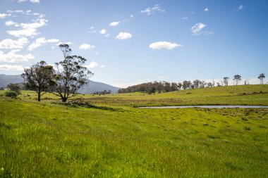 Green Pasture çiftliği sürdürülebilir tarım yapıyor Avustralya 'da yenilenebilir çiftliğin geleceği. Sağlıklı Toprak Yönetimi, Çevre Yönetimi ve Kırsal Peyzaj Gösterimi