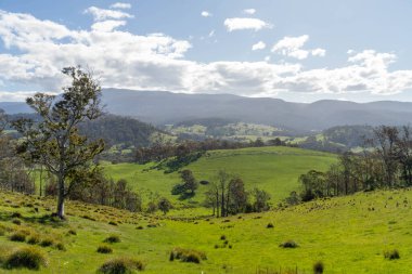 Green Pasture çiftliği sürdürülebilir tarım yapıyor Avustralya 'da yenilenebilir çiftliğin geleceği. Sağlıklı Toprak Yönetimi, Çevre Yönetimi ve Kırsal Peyzaj Gösterimi