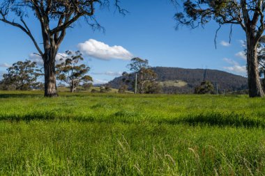 Green Pasture çiftliği sürdürülebilir tarım yapıyor Avustralya 'da yenilenebilir çiftliğin geleceği. Sağlıklı Toprak Yönetimi, Çevre Yönetimi ve Kırsal Peyzaj Gösterimi