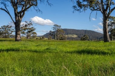Green Pasture çiftliği sürdürülebilir tarım yapıyor Avustralya 'da yenilenebilir çiftliğin geleceği. Sağlıklı Toprak Yönetimi, Çevre Yönetimi ve Kırsal Peyzaj Gösterimi