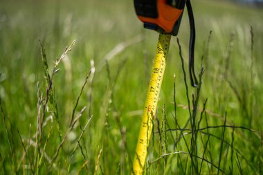 Avustralya 'daki bir çiftlikteki yemyeşil otlağı ölçmek. Veri güdümlü Kararları ve Yenilenebilir Tarım ve Arazi Üretiminin Geleceği için Sürdürülebilir Yönetimini Sembolize Etmek 