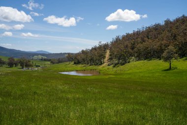 Green Pasture çiftliği sürdürülebilir tarım yapıyor Avustralya 'da yenilenebilir çiftliğin geleceği. Sağlıklı Toprak Yönetimi, Çevre Yönetimi ve Kırsal Peyzaj Gösterimi