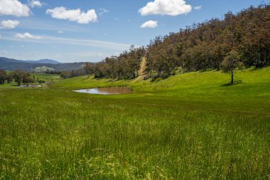 Green Pasture çiftliği sürdürülebilir tarım yapıyor Avustralya 'da yenilenebilir çiftliğin geleceği. Sağlıklı Toprak Yönetimi, Çevre Yönetimi ve Kırsal Peyzaj Gösterimi
