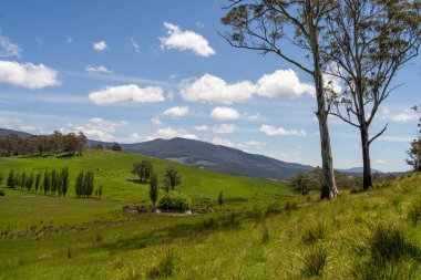 Green Pasture çiftliği sürdürülebilir tarım yapıyor Avustralya 'da yenilenebilir çiftliğin geleceği. Sağlıklı Toprak Yönetimi, Çevre Yönetimi ve Kırsal Peyzaj Gösterimi